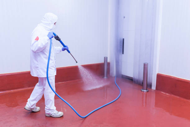 Best Graffiti Removal  in Mount Pleasant, SC