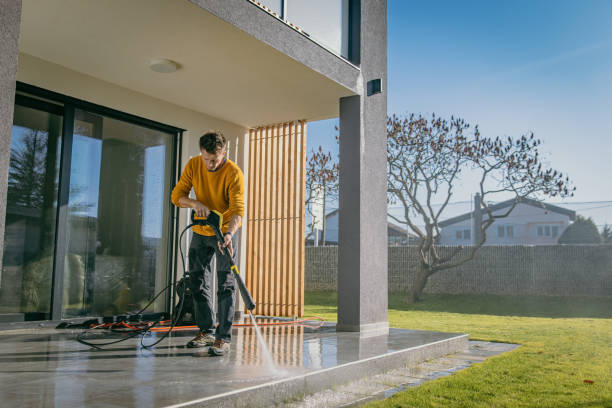 Best Driveway Pressure Washing  in Mount Pleasant, SC