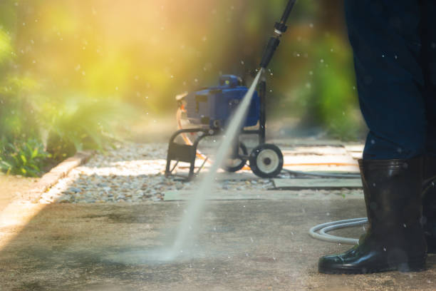 Best Solar Panel Cleaning  in Mount Pleasant, SC